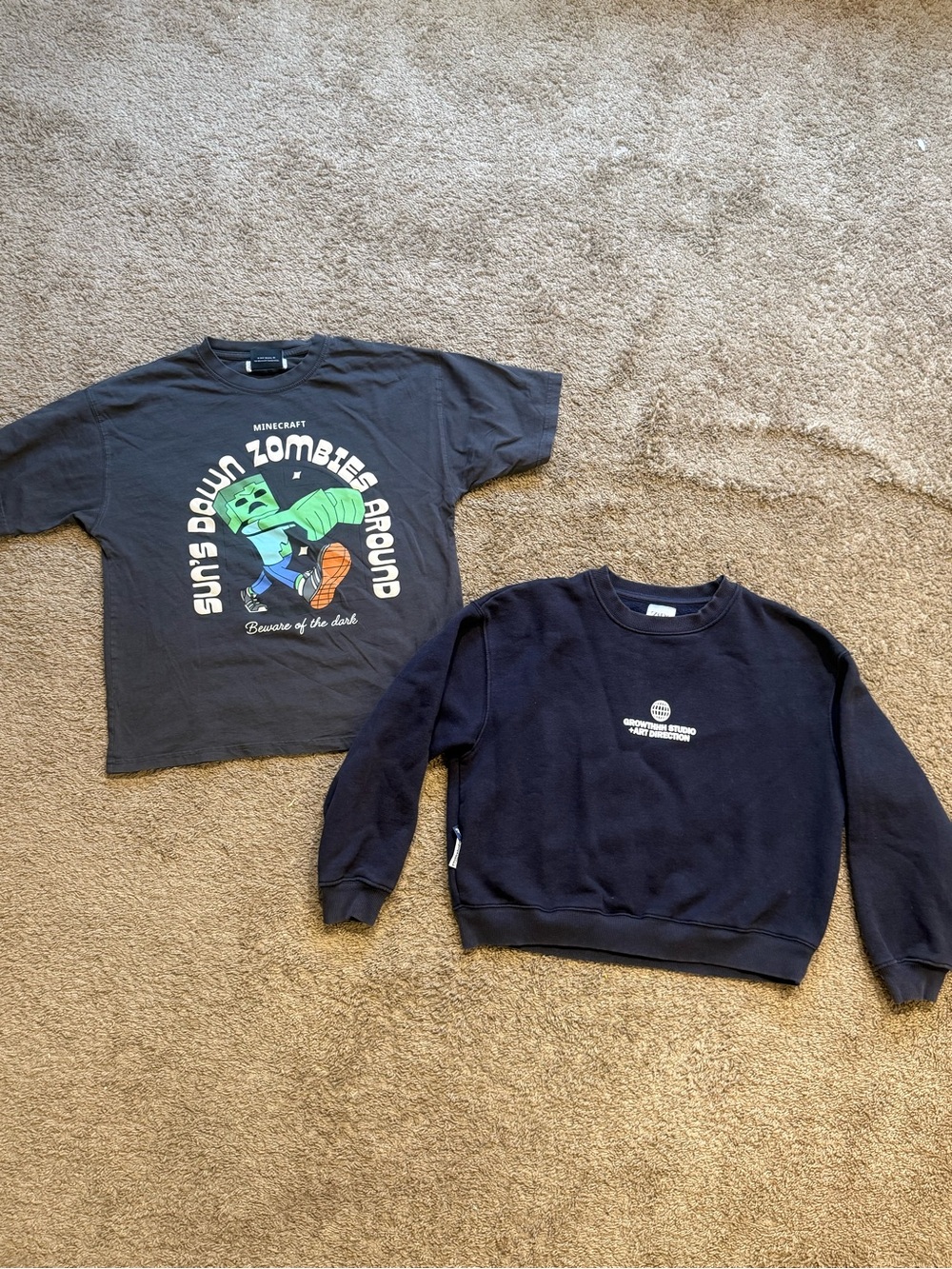 Zara Navy Crewneck Sweatshirt with Minimal Logo